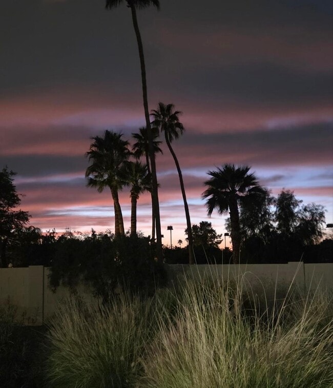 Building Photo - 5240 E Cholla St