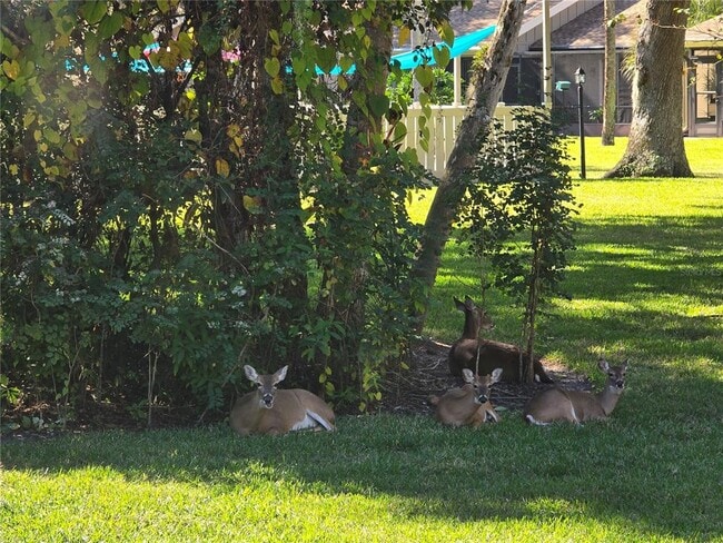 Building Photo - 4548 Forest Wood Trail