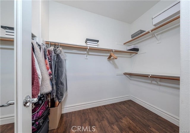 Building Photo - 18571 Amalia Ln