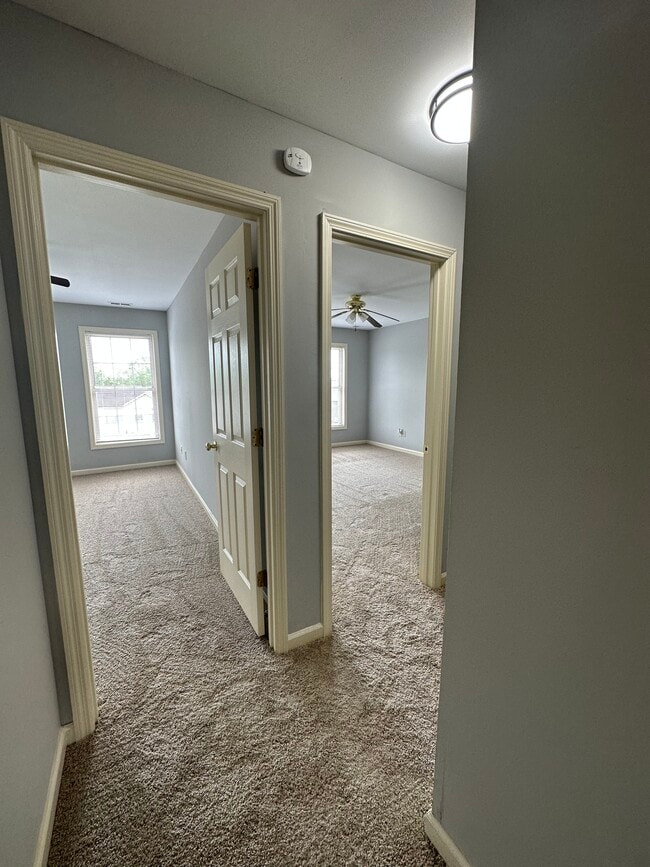 Building Photo - 531 Big Bear Ln