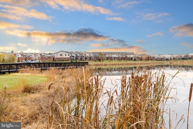 Building Photo - 23611 Rose Leigh Terrace