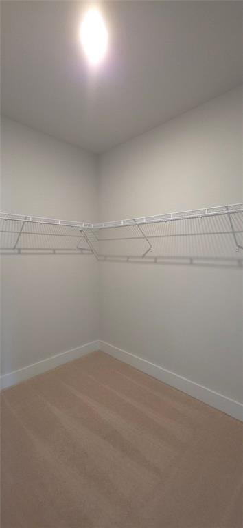 Building Photo - 3801 Oxford Cir
