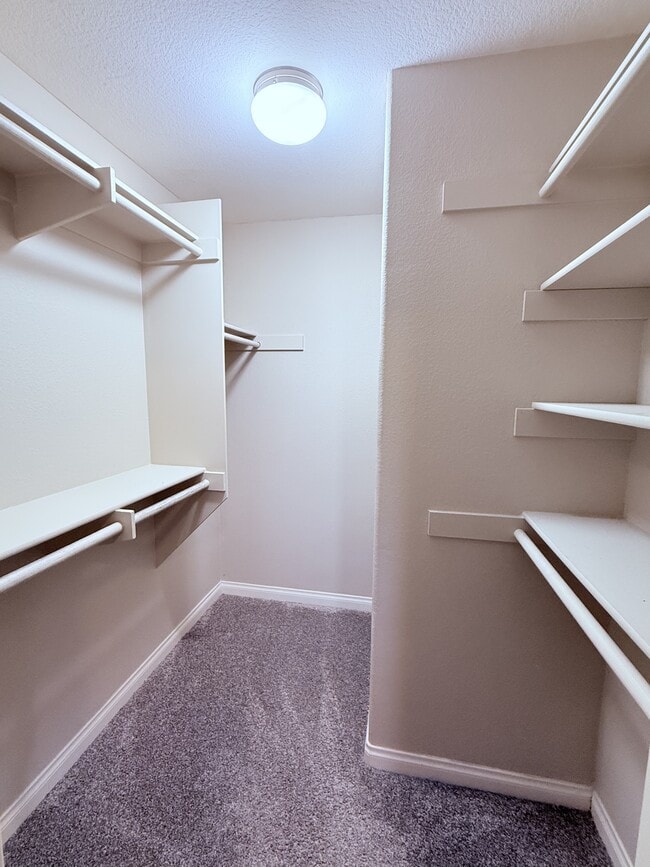 Building Photo - 3857 Pell Pl