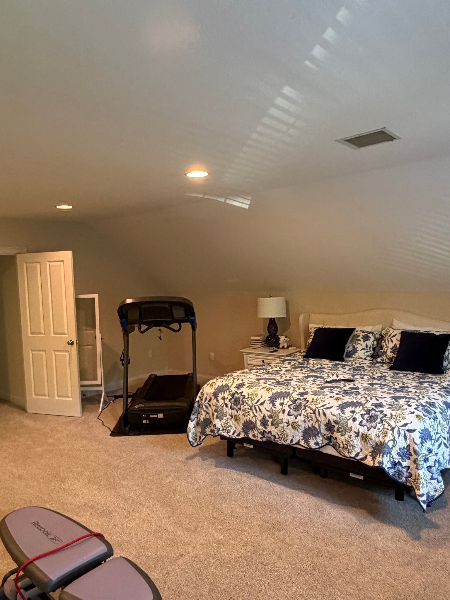 Bedroom #4 / gym - 10 Bartley Dr