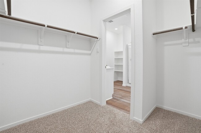 Building Photo - 3005 Teal Breeze Ln