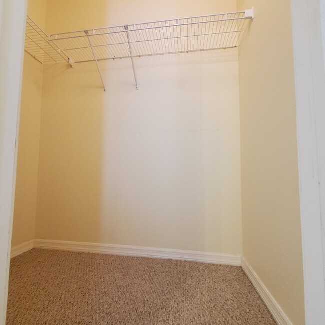 Spacious guest bedroom closet - 5808 Fishhawk Ridge Dr