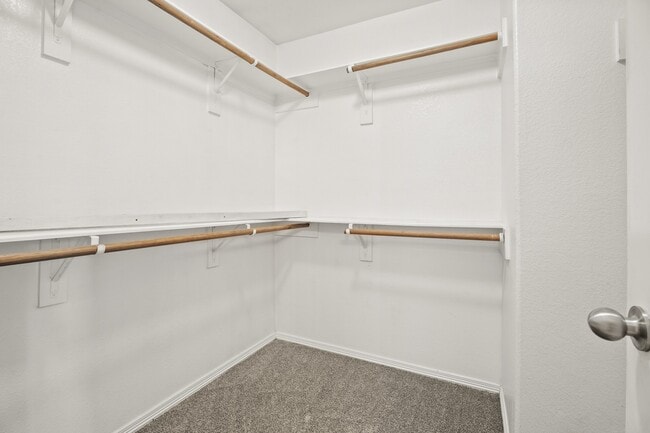 Building Photo - 23 N Golden Oak Dr