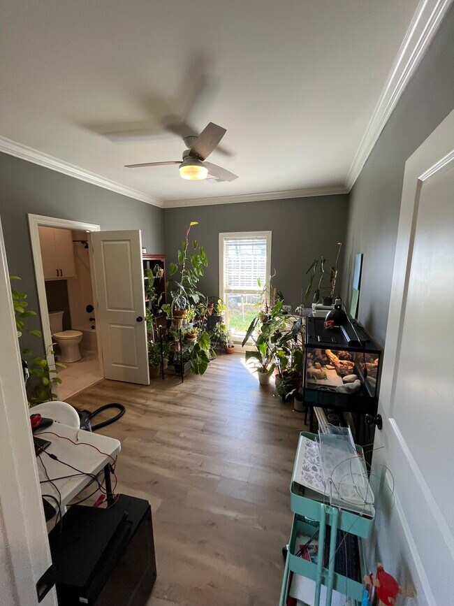 Building Photo - 837 Longleaf Circle-