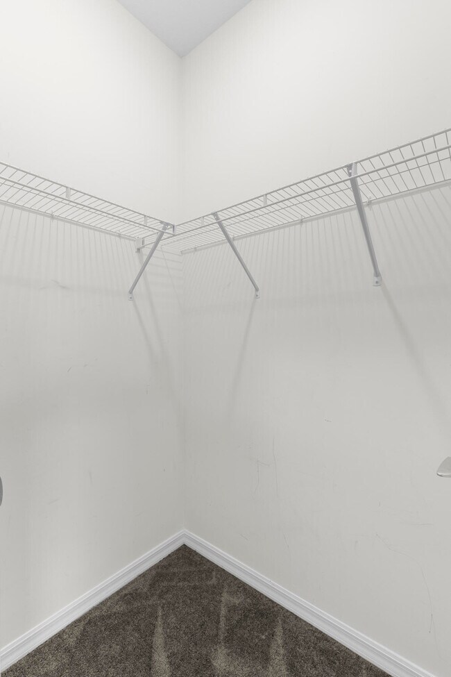 Building Photo - 8612 Escue St