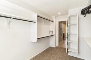 Building Photo - 3197 Tazanita Lp SE