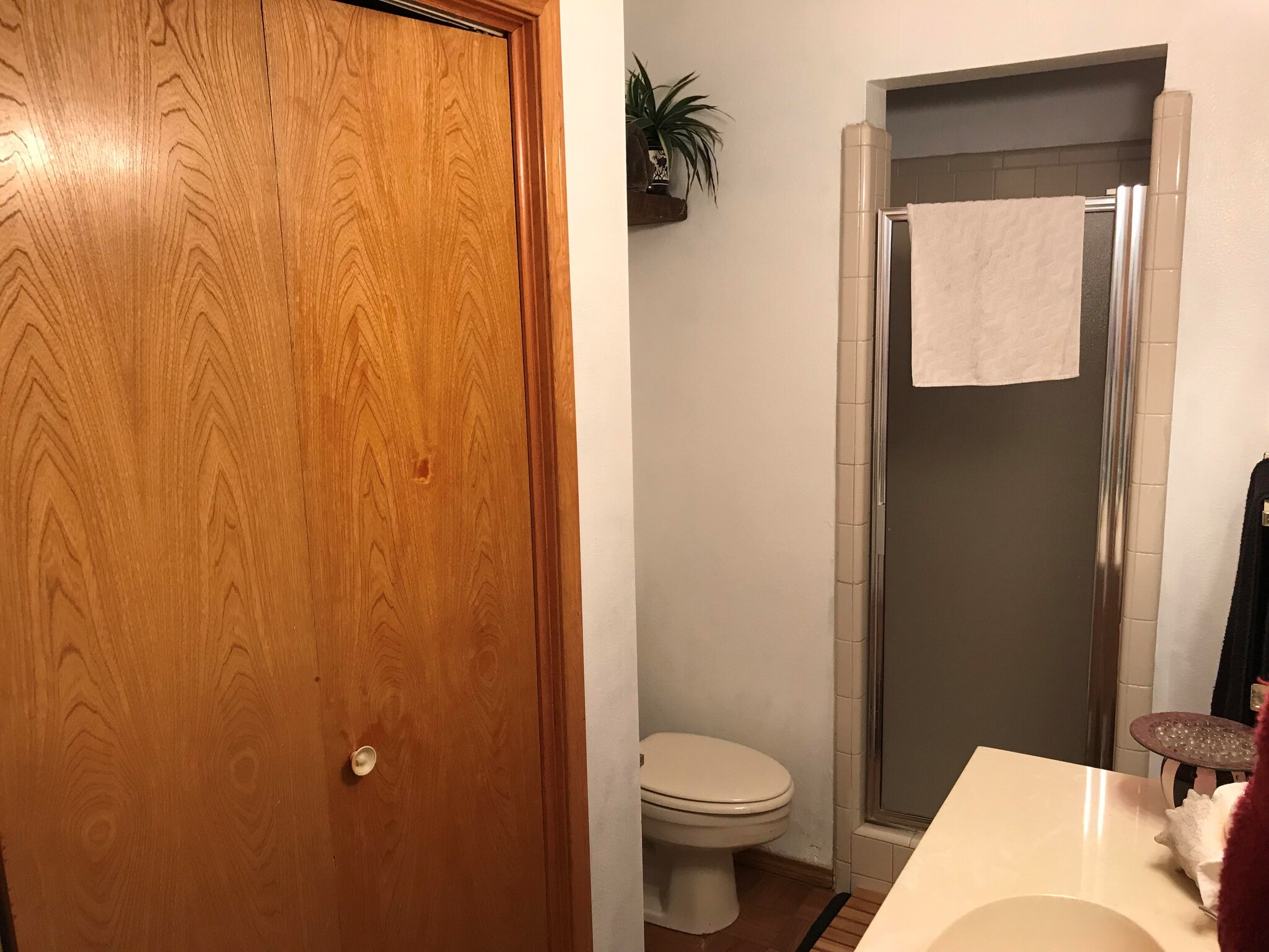 Bathroom 2 - 505 palm valley cir