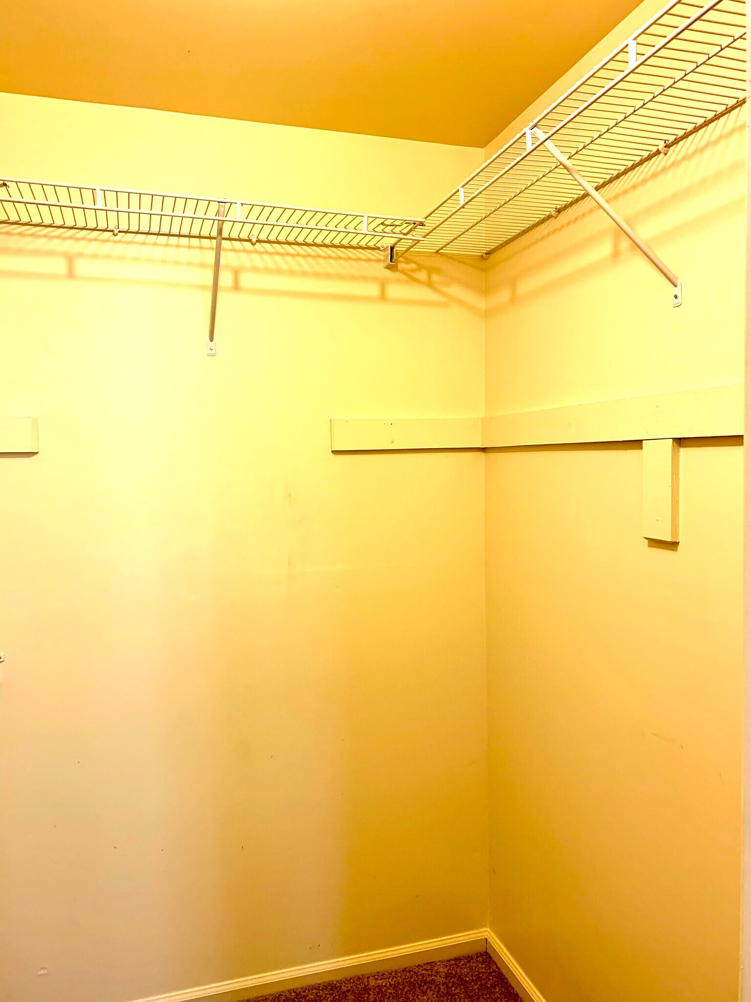 Building Photo - 1109 Foxmeadow Dr