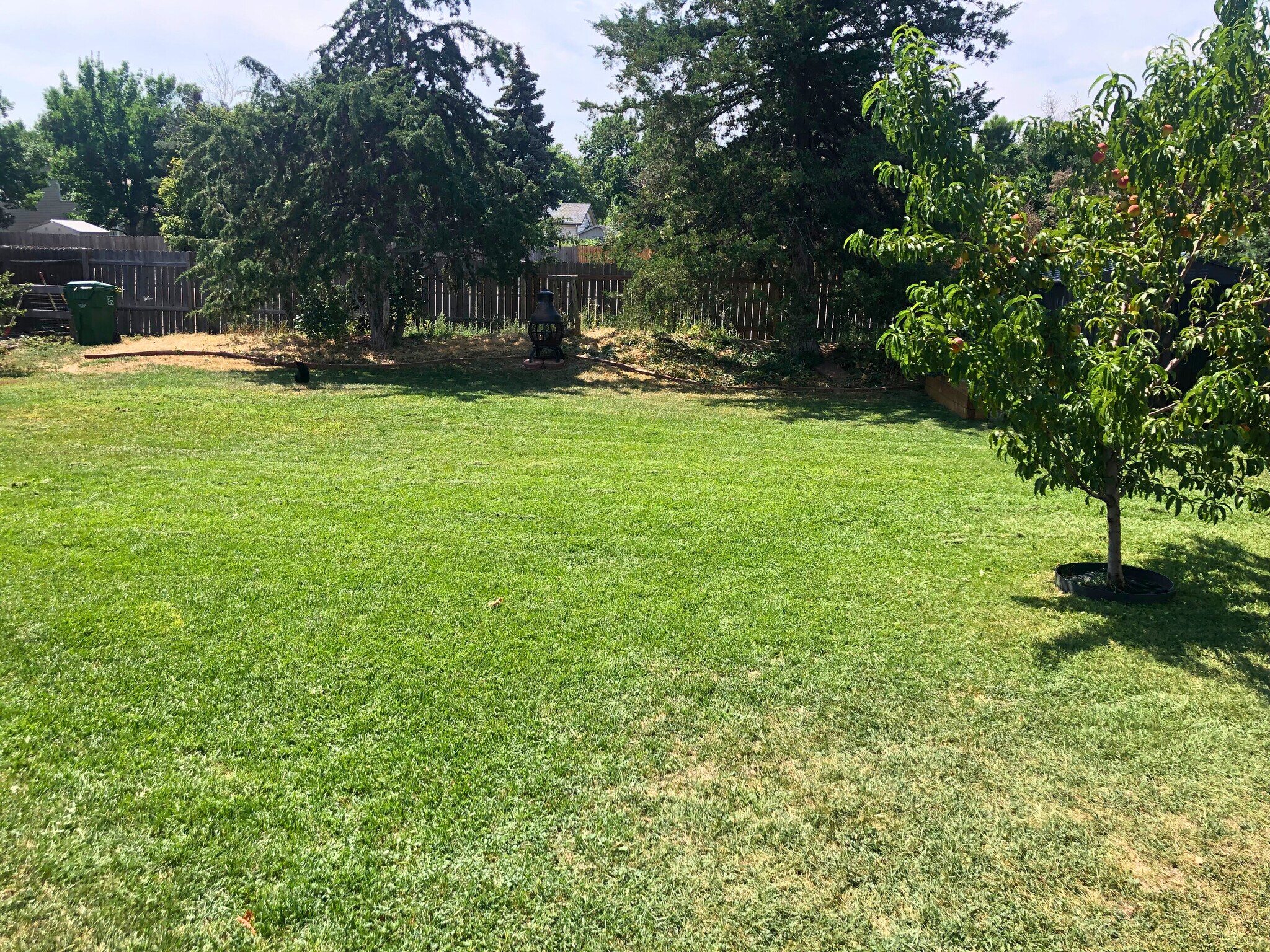 Back yard - 1220 Alpine Pl