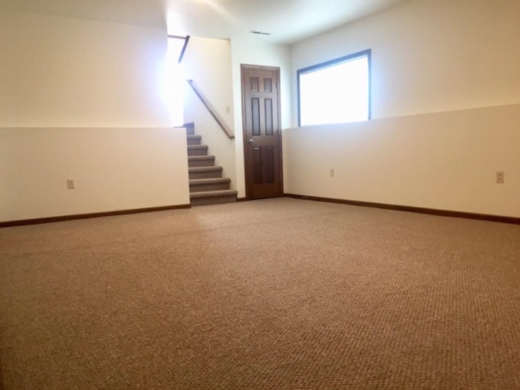 Lower Level Family Room - 12187 Firefly Rd