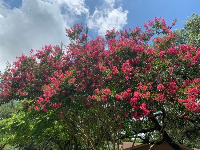 Building Photo - 1000 Hillyer St