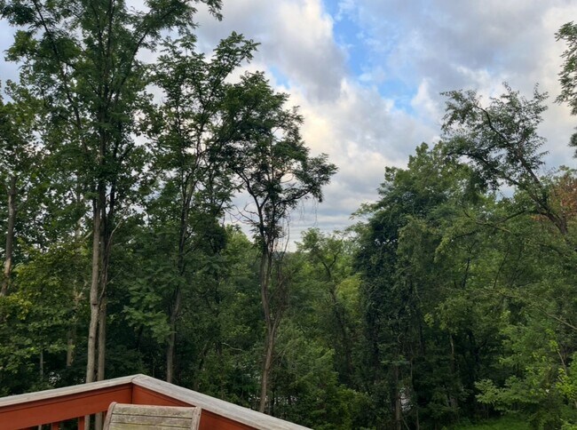 Building Photo - s. Hoernerstown Rd.- Short or Long term lease!