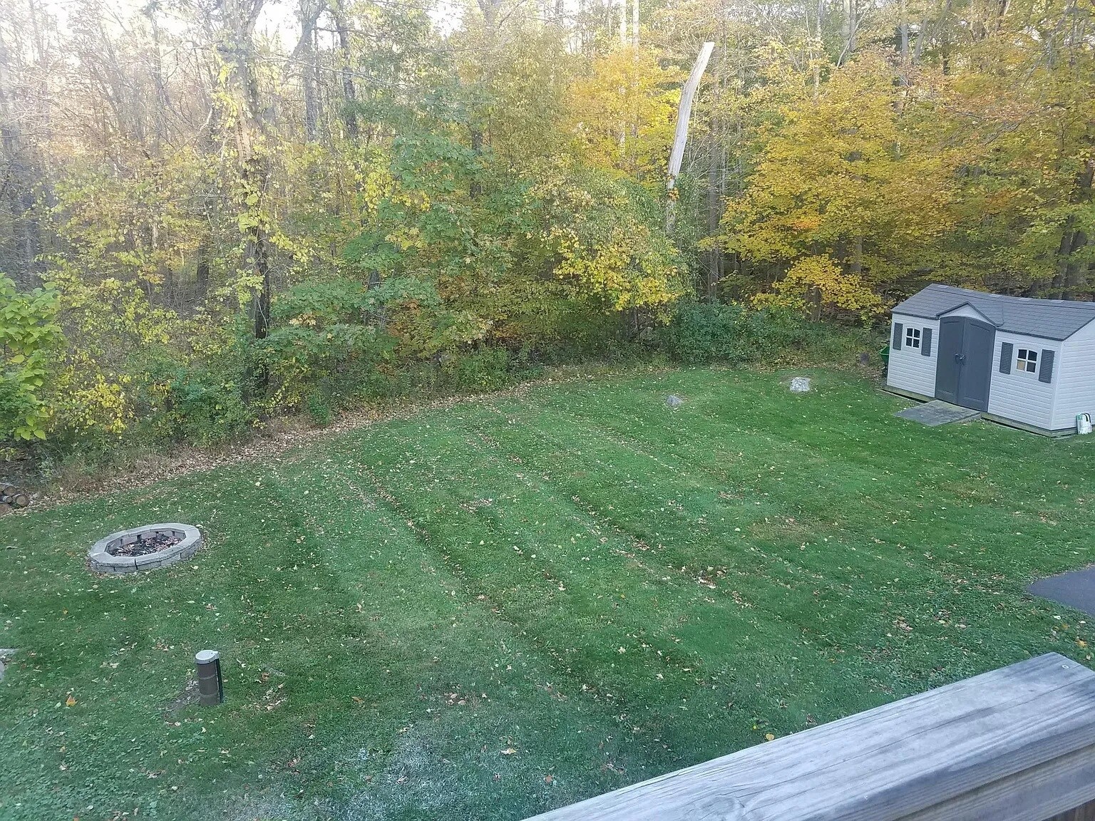 Building Photo - 120 Young St