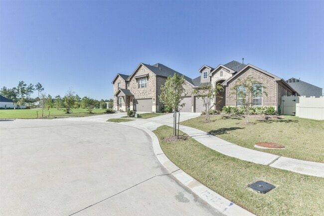 Building Photo - 17218 Olive Blossom Ct