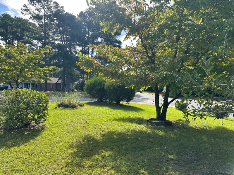 Building Photo - 3301 Rhodhiss Ct