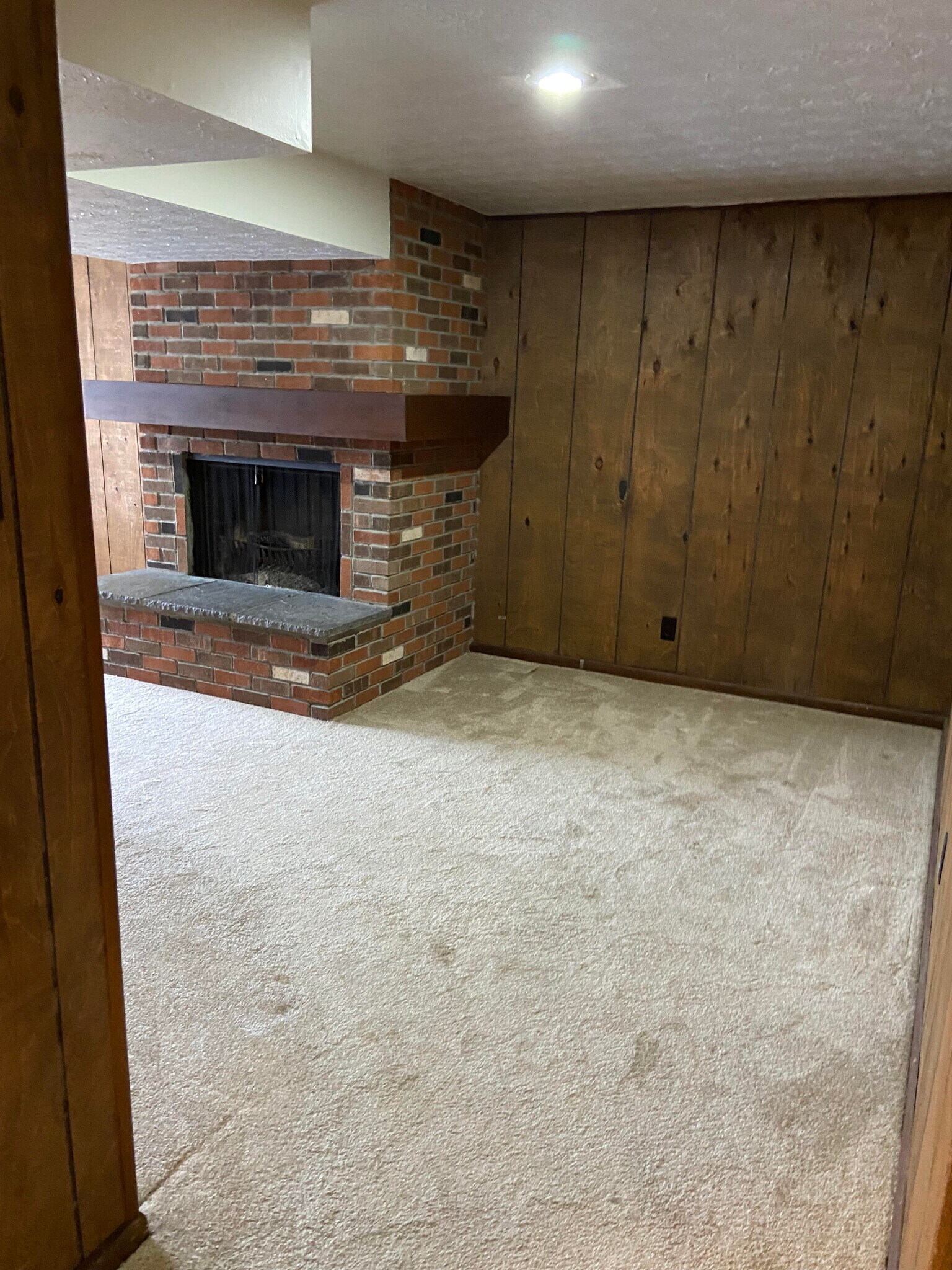 Basement - 1324 Aarons Way