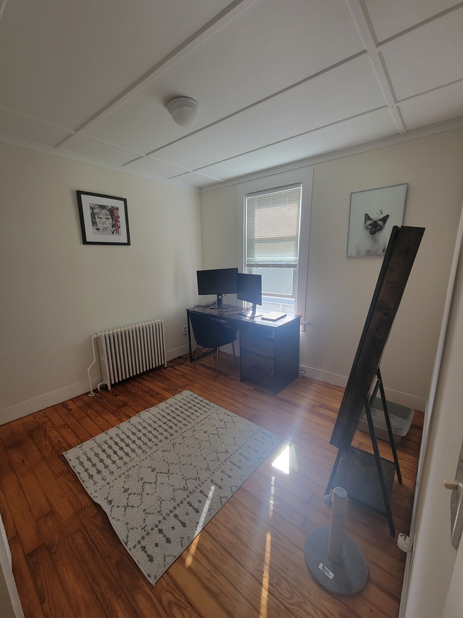 Building Photo - 19 Dixon St