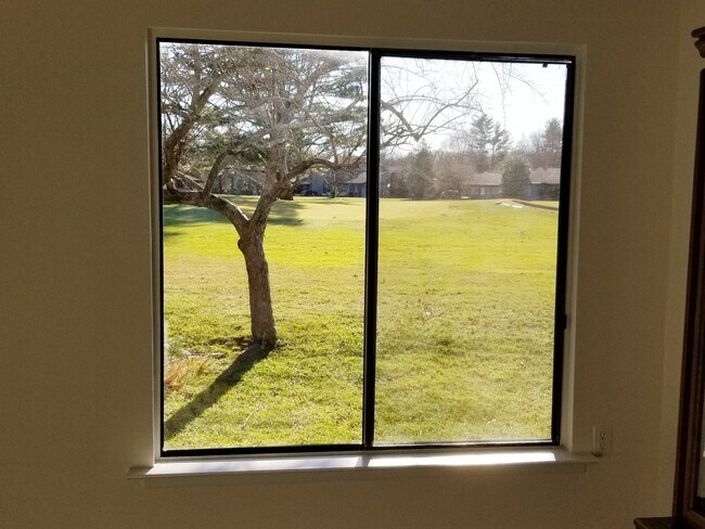 View from Dining Area - 3 Andover Ct