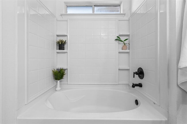 Building Photo - 503 Blanco Woods Blvd