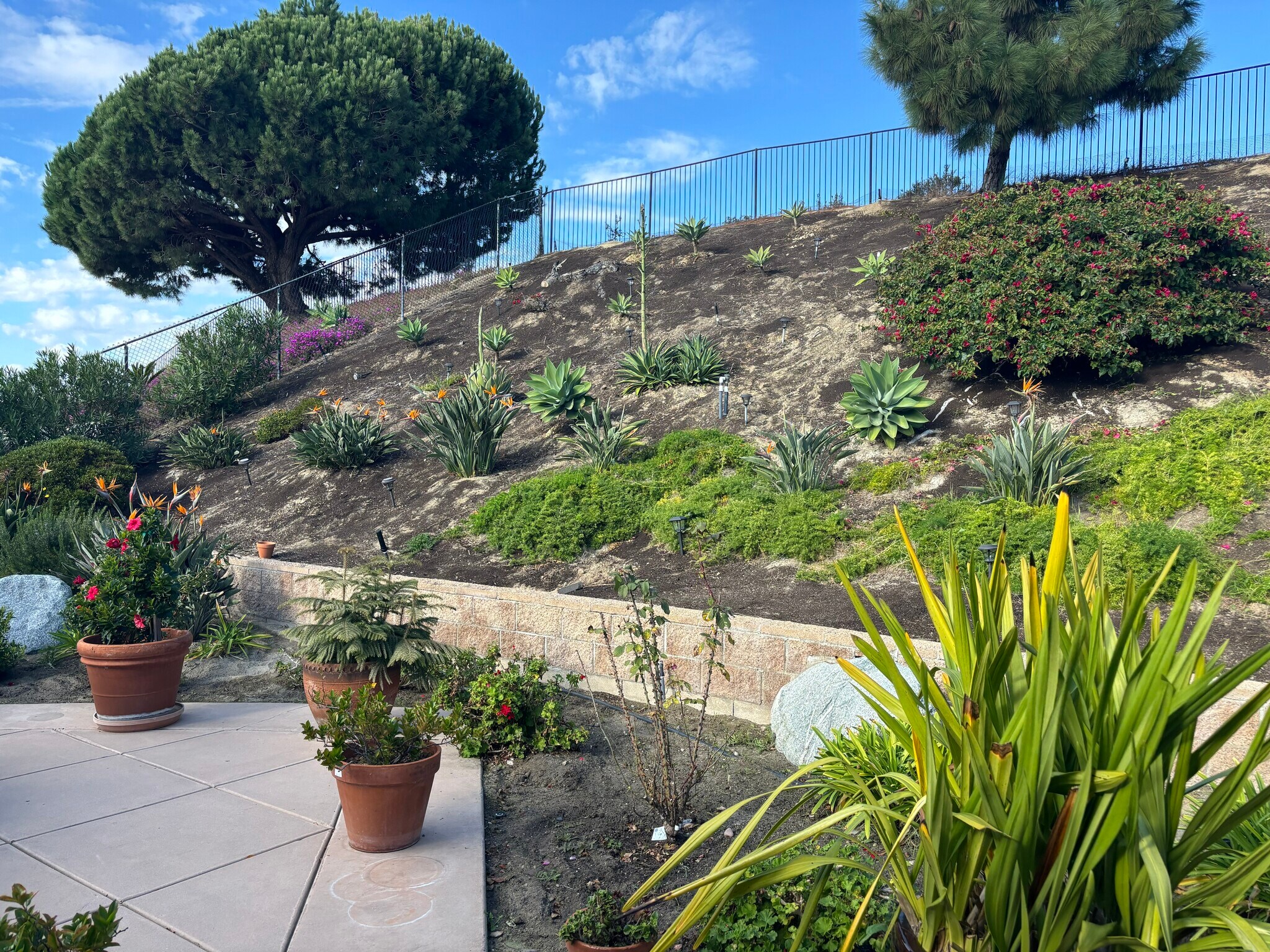 Building Photo - 2230 Masters Rd