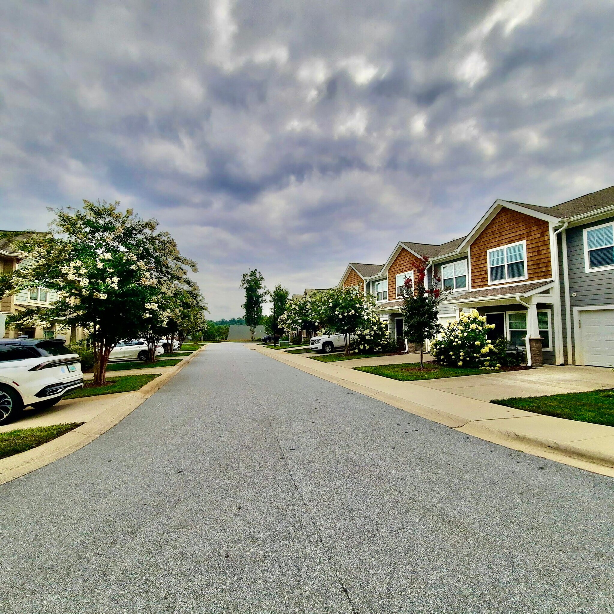 Looking down street - 1025 Baldwin Commons Dr