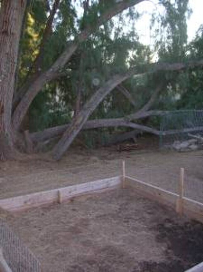 Building Photo - **Bright & Connected 1-Bed in Central Tempe**