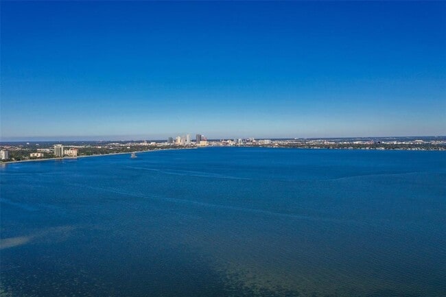 Building Photo - 4141 Bayshore Blvd