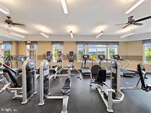 Building Photo - 9704 Glassy Creek Way