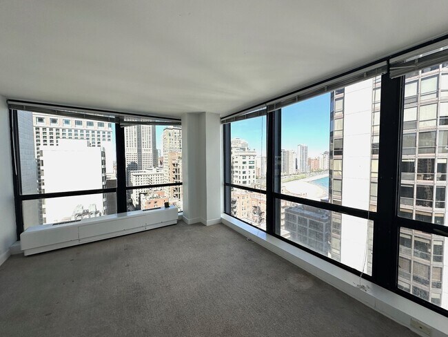 Building Photo - 910 N Lake Shore Dr