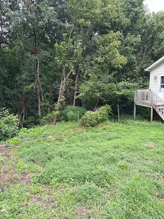 Building Photo - Newly Remodeled 3 Bedroom in East Asheville