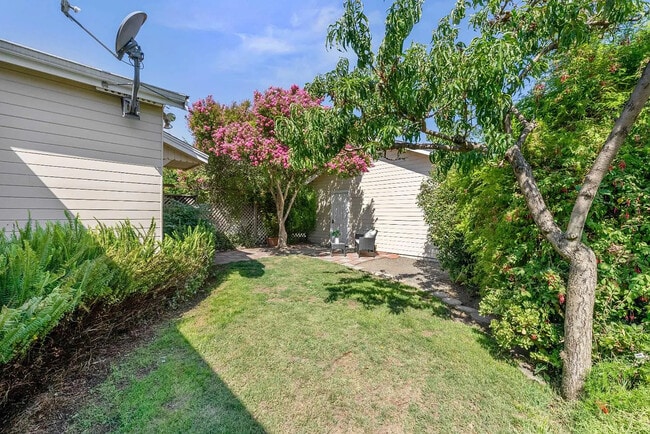 Building Photo - 1595 Santa Clara St