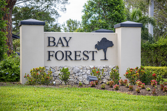 Community of Bay Fay Forest - 290 Naples Cove Dr