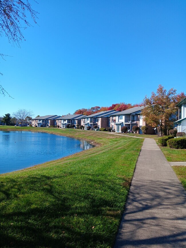 Building Photo - Beautiful 2-bedroom 1 bath apartment, downstairs