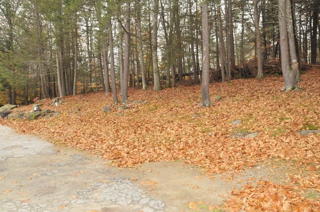 Building Photo - 147 High Rock Rd