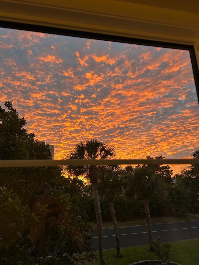 Building Photo - 4340 Falmouth Dr