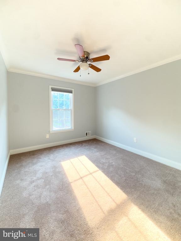 Building Photo - 2419 Ansdel Ct