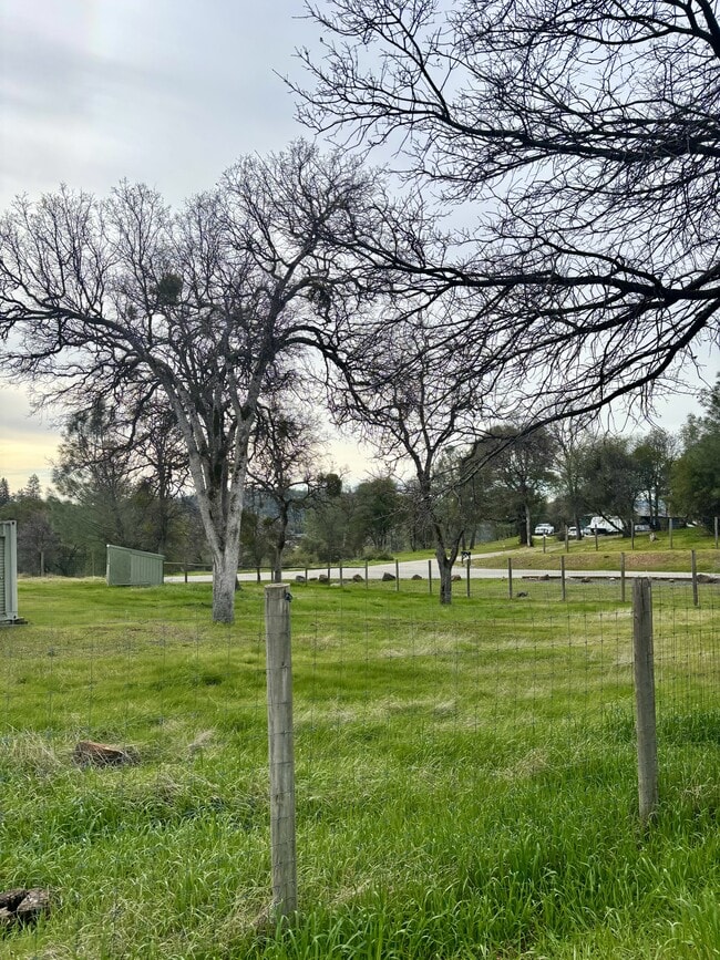 Building Photo - 10389 N Ponderosa Way