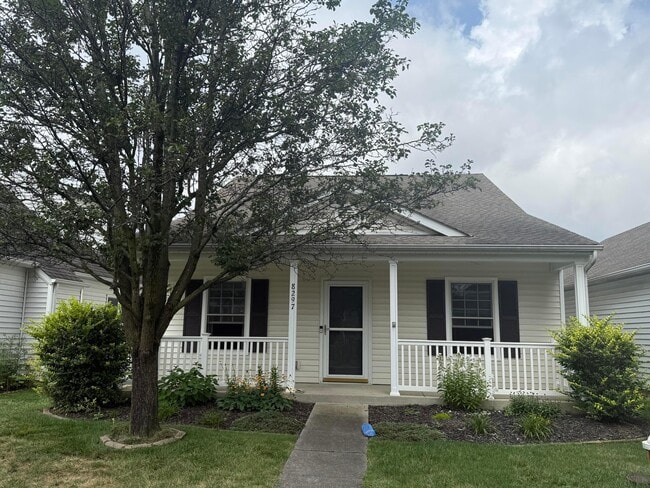 Building Photo - 8297 Altair St