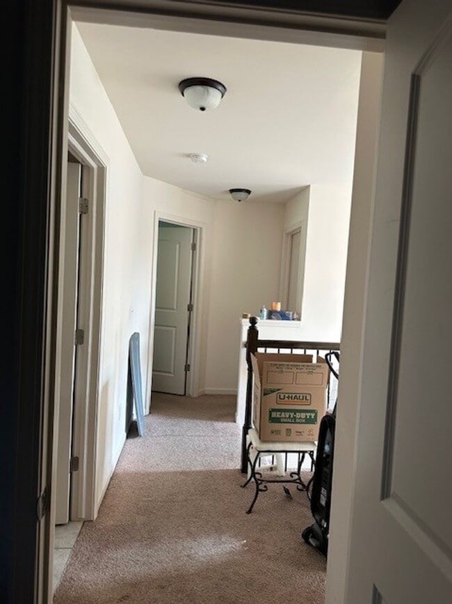 Building Photo - NEW RENTAL!
