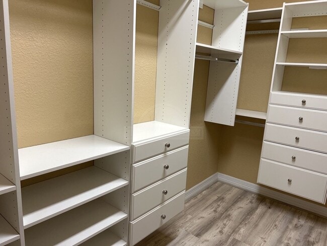 Building Photo - 203 Weeping Willow Ct