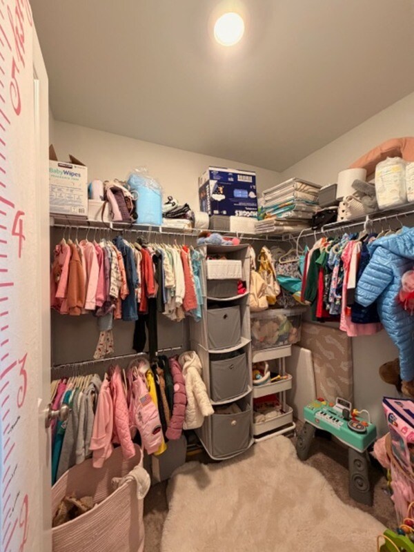 Building Photo - 532 Cricket Chirp Ln