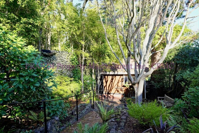 Building Photo - Quintessential Mill Valley Home Nestled in...