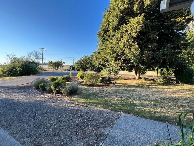 Building Photo - Adorable Quiet park like setting in fruit valley sunsets with landscaping provided