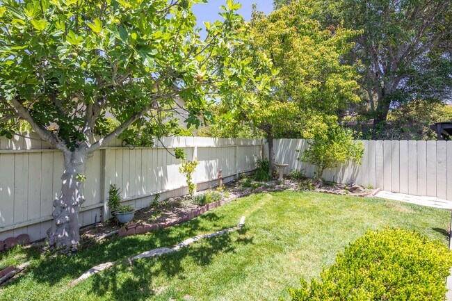 Building Photo - +55 Community, 2 BD with AC