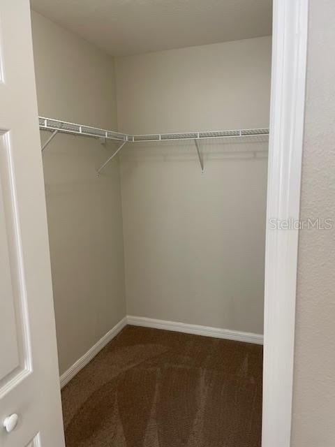 Building Photo - 3809 Black Spruce Ln