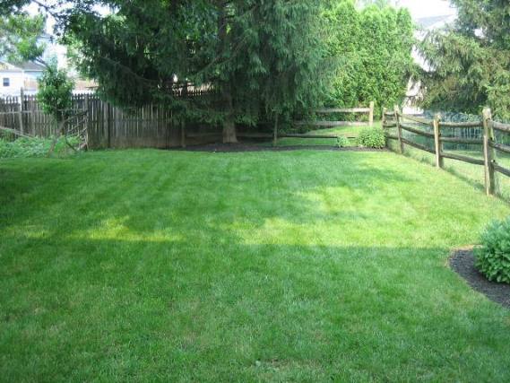 Backyard - 84 Hunt Dr
